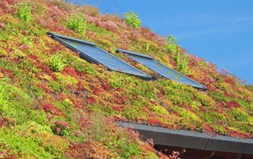 Creebridge living roof systems